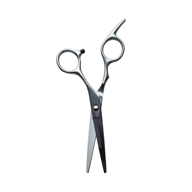 Metalowe nożyczki fryzjerskie, 5,5 mm Hair Expert